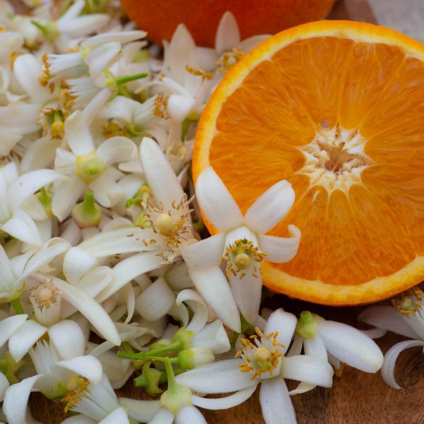 L’eau de fleur d’oranger pour le bien-être : ses vertus relaxantes et apaisantes