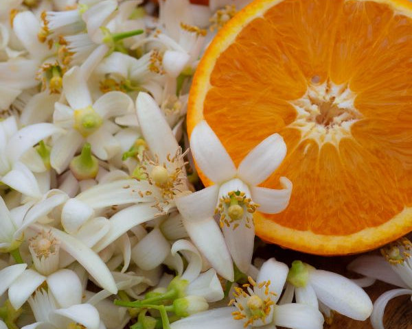 L’eau de fleur d’oranger pour le bien-être : ses vertus relaxantes et apaisantes