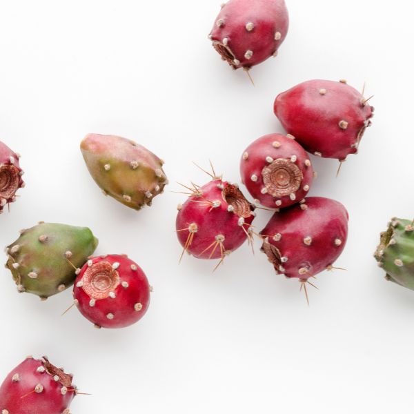 Comparatif: l'huile de pépins de figues de barbarie VS l'huile d'argan