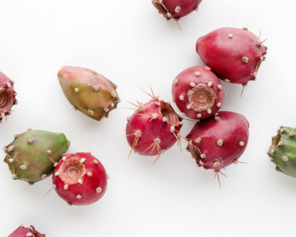 Comparatif: l'huile de pépins de figues de barbarie VS l'huile d'argan